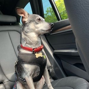 Meet your Posher, Michael